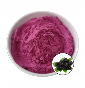 Premium Mulberry Fruit Powder With Best Price