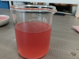 Factory wholesale instant pitaya powder in bulk