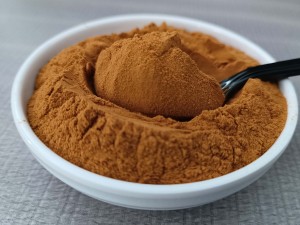 High Quality Organic Instant Jujube Powder