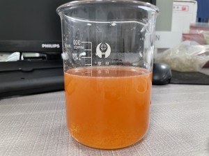 制造商供应水番茄粉
