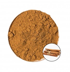Factory direct sales cinnamon extract