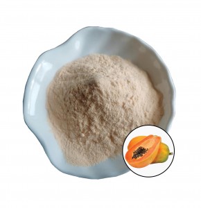 High Quality Papaya Powder With Best Price