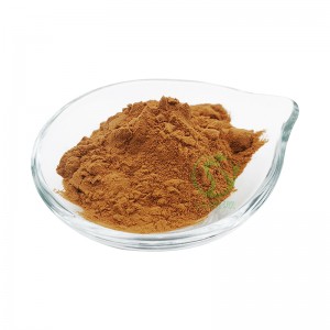 Factory direct sales cinnamon extract