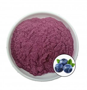 China Gold Supplier for Wild Blue Berry Powder Blueberry Fruit Juice Powder Dried Acai Berry Powder
