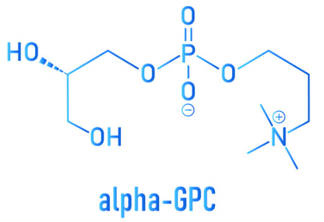 The Power of Alpha-GPC: Unlocking Cognitive Enhancement