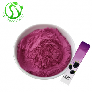 OEM Mulberry Powder Fruit and Vegetable for Solid Drink