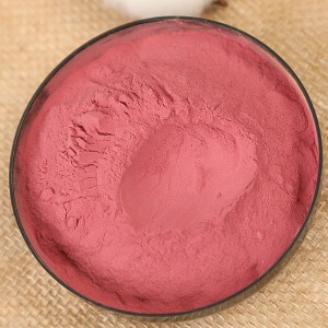 Manufacturers supply beet root  powder