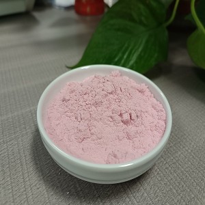Wholesale Instant Grapefruit Powder