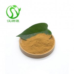 High Quality oyster extract powder with Best Price