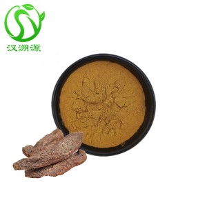 Wholesale Male Health Cistanche tubulosa Extract
