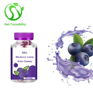 Chiński producent OEM DHA Blueberry Lutein Ester Gummy do pielęgnacji oczu dla dzieci i dorosłych