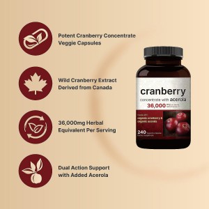 Private Label Food Supplements Cranberry Powder Capsules for Woman Healthy