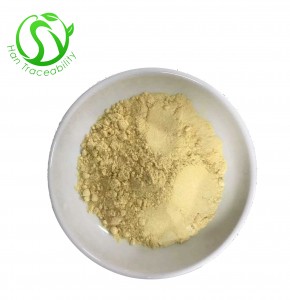 Best Price Aesculetin Extract cichorigenin Powder 98% Esculetin CAS No 305-01-1 98% Esculetin Powder in Stock