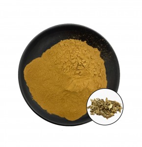 Natural Siberian Ginseng Extract With Best Price