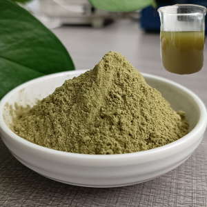 OEM Wholesale Instant Kale Powder Fruit and Vegetable for Dietary Fiber Meal Replacement