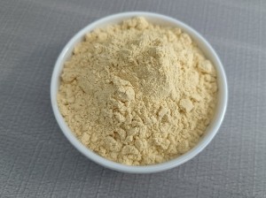 Spray Dried Sea Buckthorn Powder