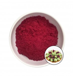 High Quality Cactus Fruit Powder for Superfood Supplement