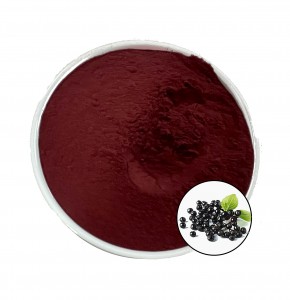 Water Soluble Elderberry Extract Instant Elderberry Juice Powder