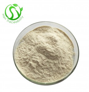 Food Supplement Enzyme Preparation Bromelain Powder 2400GDU/gm CAS 9001-00-7