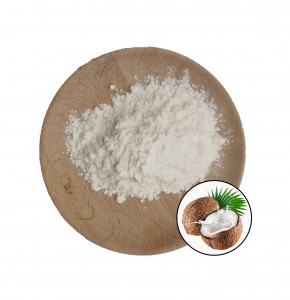 Pure Natural Coconut Fruit Juice Powder Supllied for US Wearhouse