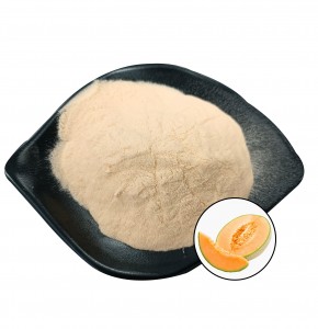 Best Price Cantaloupe Powder USA warehouse