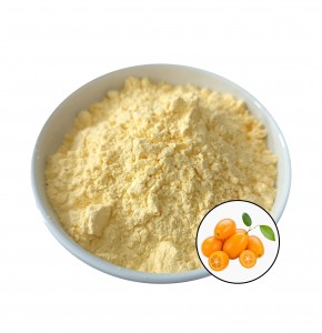 Manufacturer spot kumquat powder Stock in USA