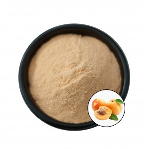 Top Quality Fully Water-Soluble Apricot Fruit Powder Flavour Apricot Powder Apricot Juice Powder For Drink