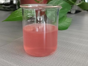Factory wholesale instant pitaya powder in bulk