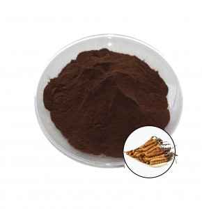 Best Quality Cordyceps Sinensis  Extract Powder