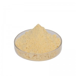 Ethyl 3-amino-1H-pyrrole-2-carboxylate hydrochloride CAS Number	252932-49-3