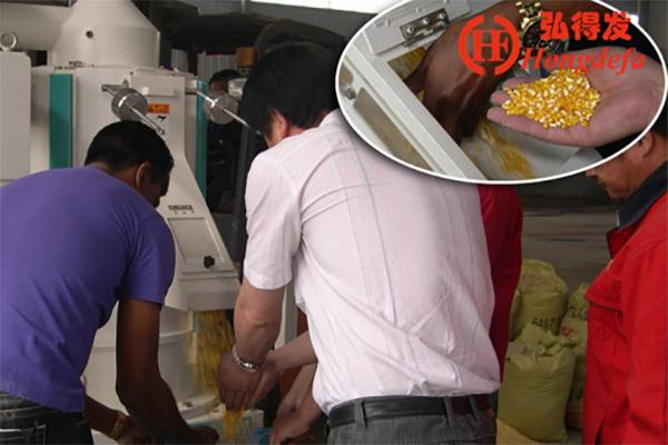 How to Earn profits from corn milling machine in nigeria?