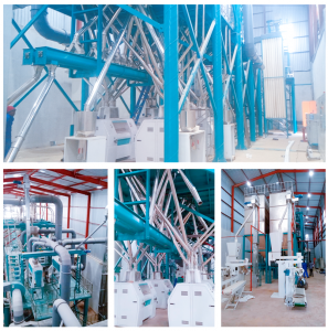 Reasonable price for Corn Maize Flour Meal Bran Grits Processing Grinding Milling Machine