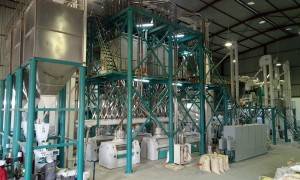 250t / 24h farine de maïs Milling Machine