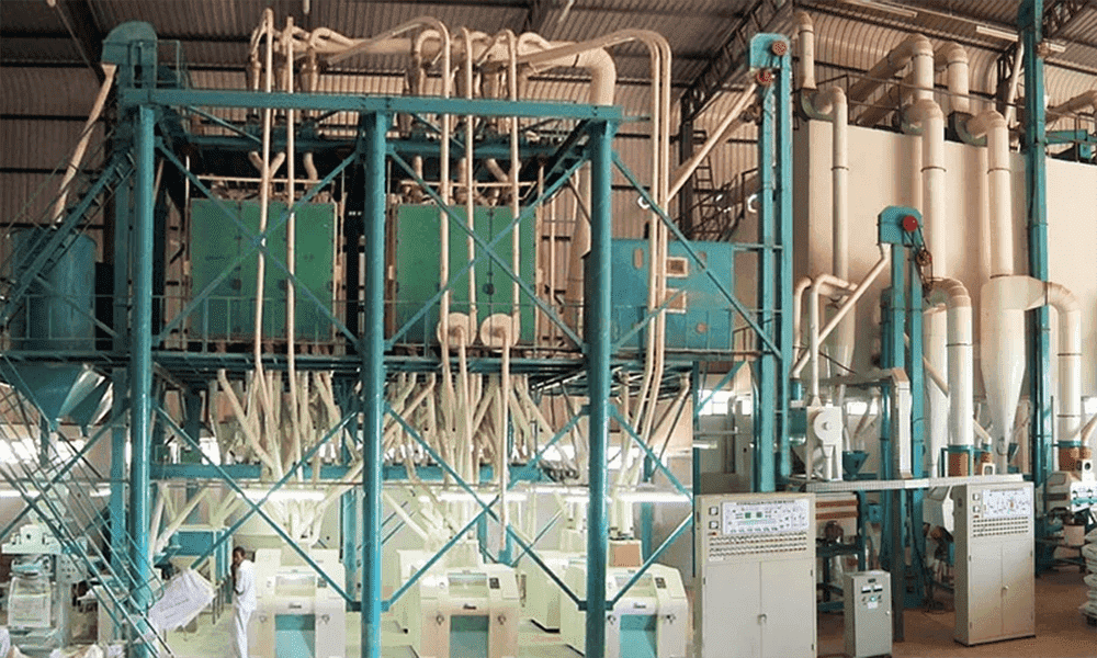 Professional ChinaWheat Processing Miller - 80 T/24H WHEAT FLOUR MILL – Hongdefa