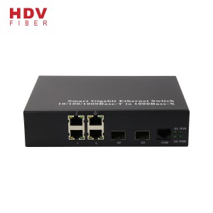 Managed 2*1000M SFP Port Gigabit Ethernet Compatible Cisco Network Switch
