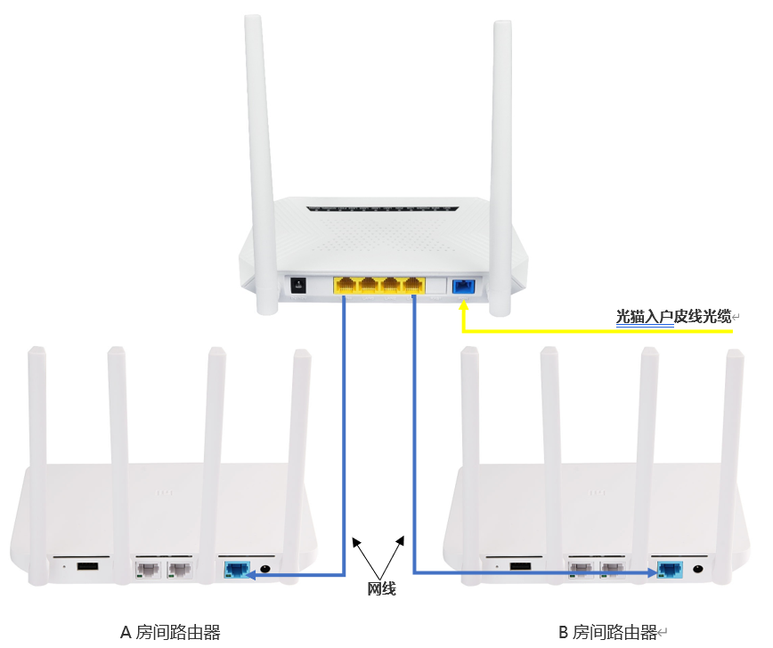 The difference between optical cat and router