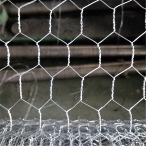 Factory Price Galvanized Hexagonal Chicken Wire Mesh for Fence and Plastering