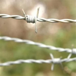 Factory Customized Galvanized Barbed Wire Airport Fence