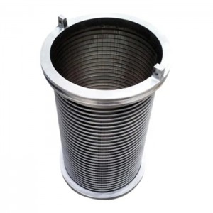 Johnson 'collaborative Wedge Wire' Screen for Back Flush Filter Equipment