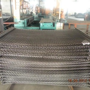 Vibrating Screen Mesh Crimped Wire Mesh for Mine Sieving