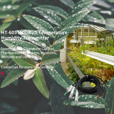 Compressed Air Dew Point Transmitters Monitoring Humidity and Sensor Transmitters HT-605 for Greenhouse