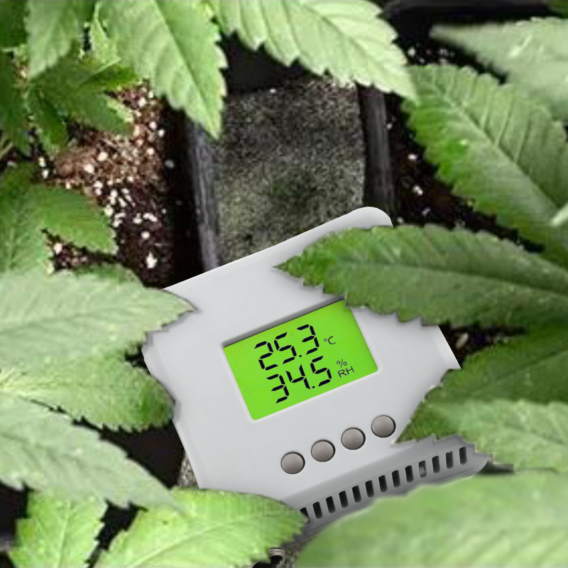 Humidity and Temp Transmitters