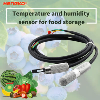 Highly Sensitive RS485 Temperature and Relative Humidity Dew Point Sensor with Stainless Steel Sensor Housing for Fruit and Vegetable Storage