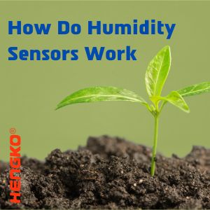 Full Guide to Know How Do Humidity Sensors Work