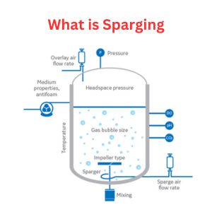 What is Sparging: A Comprehensive Guide
