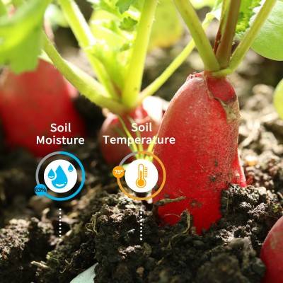 Indoor Iot Smart Plant Monitoring & Control Platform – Grow Room Humidity (RH) And Temperature For Indoor Plants