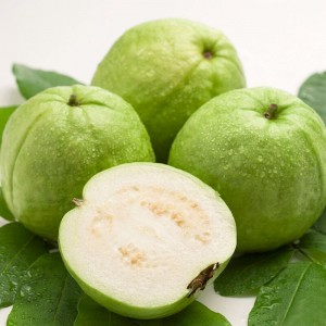 Pulveris guava 