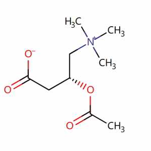 Asetil L-Carnitine 