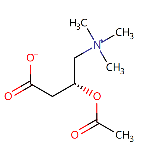 Acetyl L-Carnitine Ny sary nasongadina