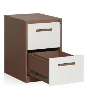 HG-001-A-2D-01AL Cabinet ffeilio ochrol dur 2-drôr dylunio modern